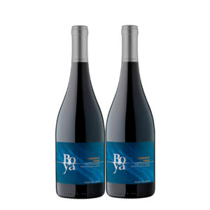 Boya Cabernet Franc 750 ml. x 2 Botellas