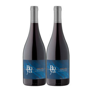 Boya Pinot Noir 750ml x 2 Botellas