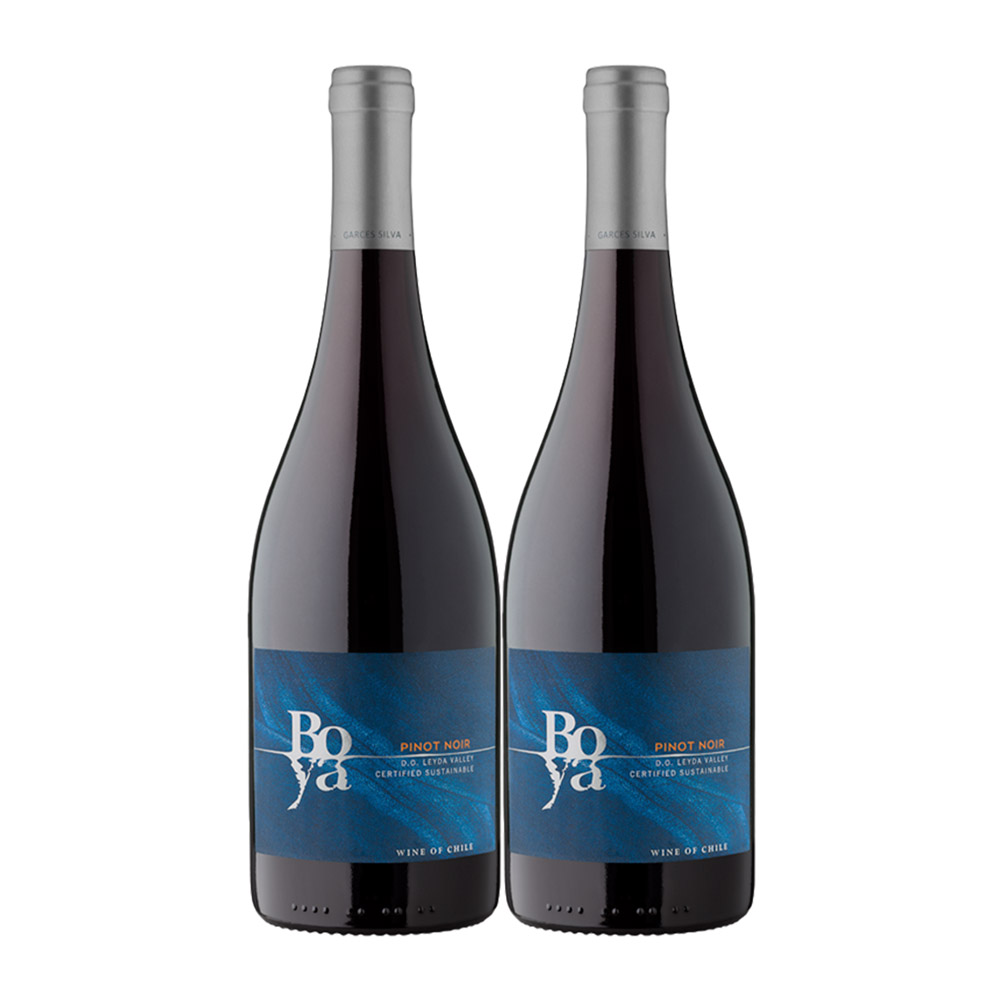 Boya Pinot Noir 750ml x 2 Botellas
