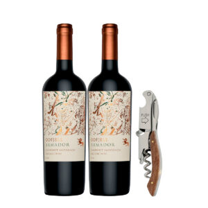 Odfjell Armador Cabernet Sauvignon 750ml. x 2 Botellas + REAGLO: Sacacorchos Profesional