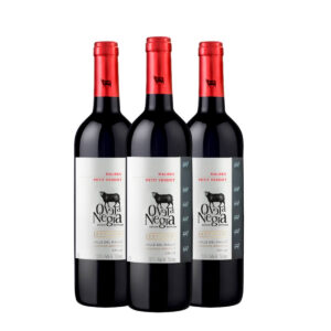 Oveja Negra Reserva Malbec Petit Verdot 750 ml. x 3 Botellas