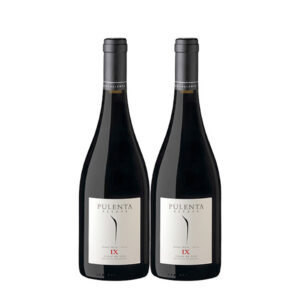 Pulenta Estate Pinot Noir IX 750 ml. x 2 Botellas