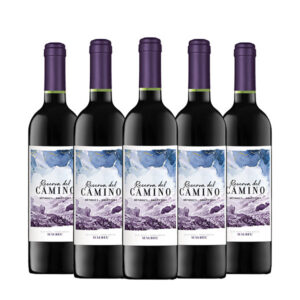 Reserva del Camino Malbec 750 ml. x 5 Botellas