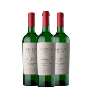 Saurus Select Patagonia Sauvignon Blanc 750 ml x 3 Botellas