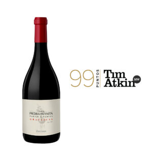Zuccardi Finca Piedra Infinita Gravascal (2020) 750ml. | 99 Puntos. Tim Atkin